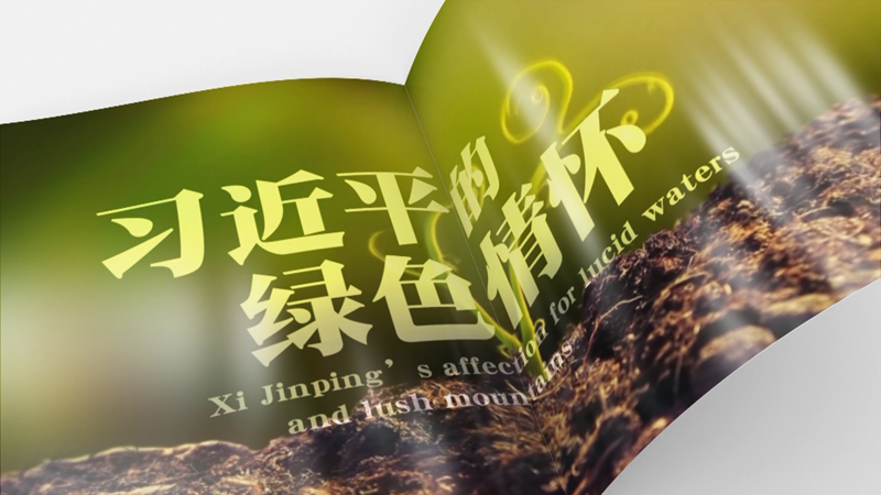 ȫB(xin) | (x)ƽľGɫ